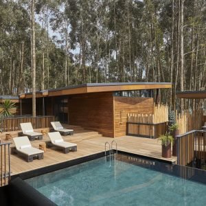 1920_oo-gorillasnest-pool-pool-wide-3117-master